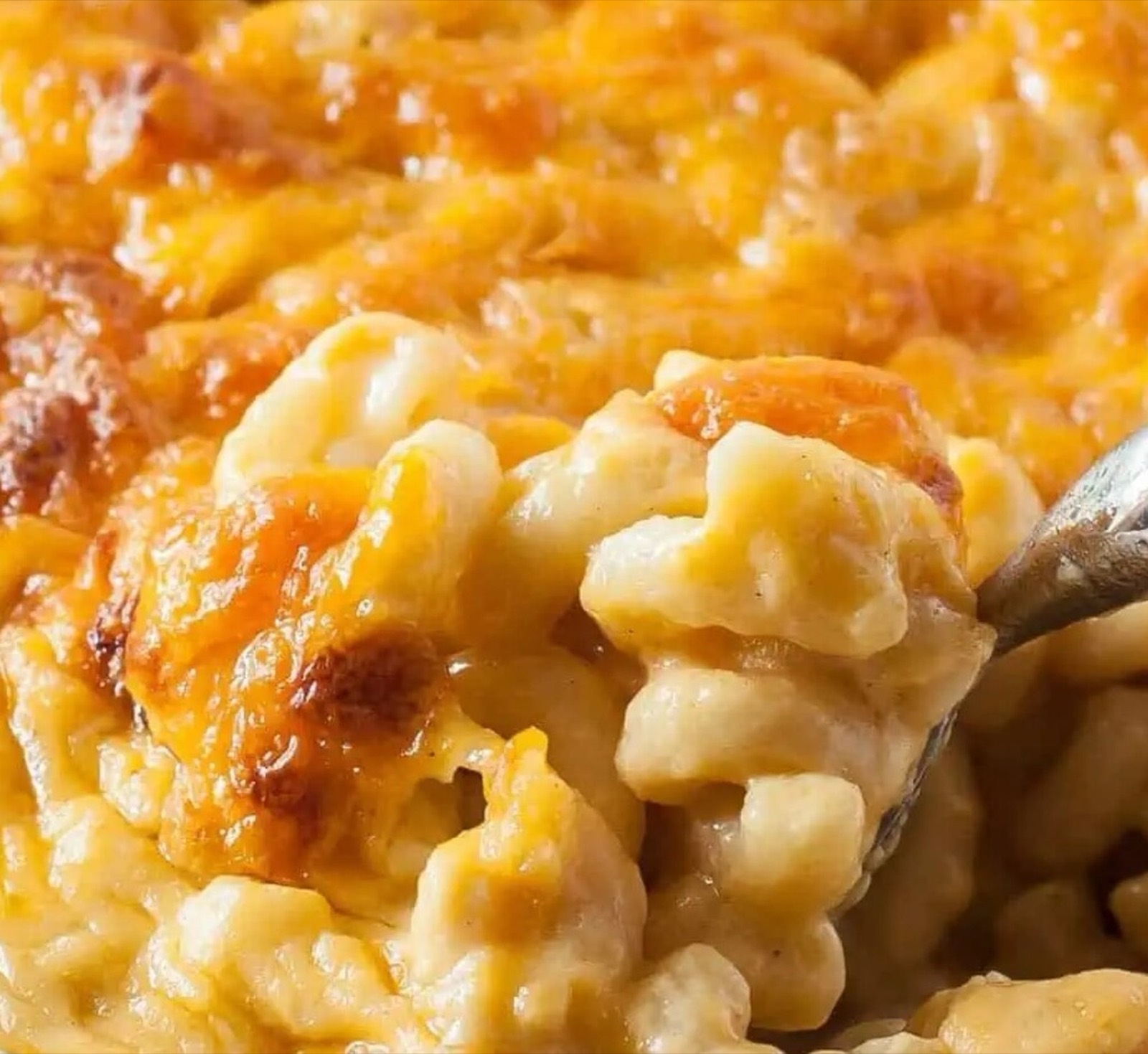Baked macaroni and cheese with a browned crust